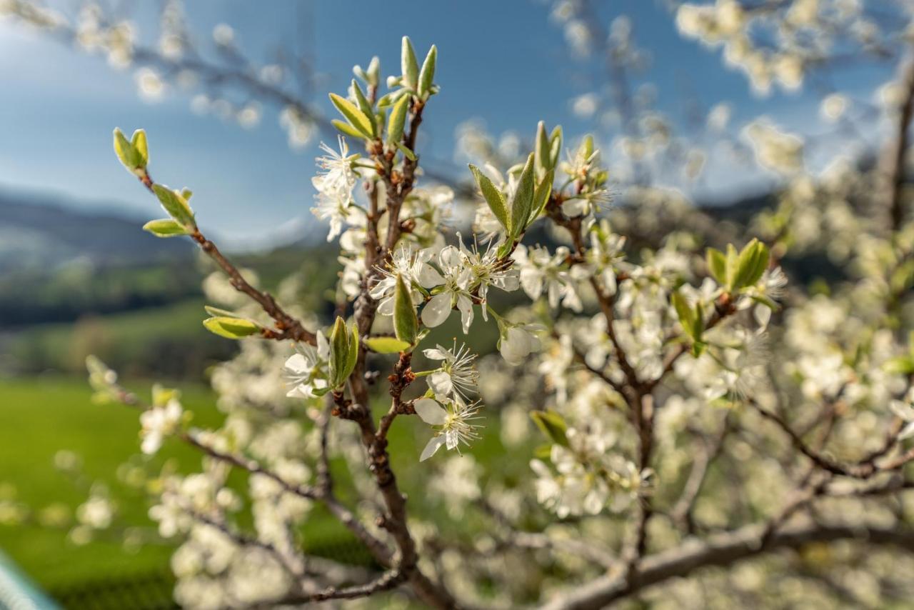 Gaestehaus Huber Fruehstueckspension Schladming Bagian luar foto